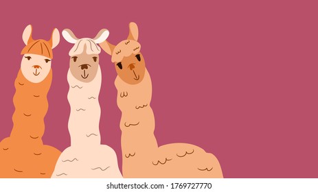 Cute 3 Llamas with different brown color smiling on pink background. Friends or friendship concept. For background or postcard or greeting card . Vector illustration. Cartoon character flat design