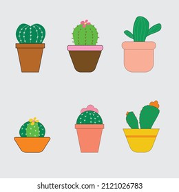 Cute 6 Cactus Plants Collections  different in  potted.