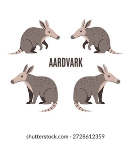 Cute Aardvark Animal Vector Illustrations