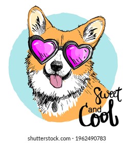 Cute abstract illustration with cute dog corgi. Pretty fashion girlish illustration for t-shirt design