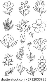 Conjunto lindo y abstracto de 18 Elementos botánicos dibujados a mano, incluyendo flores estilizadas, hojas y ramas de bayas. Perfecto para la decoración de la guardería, productos para niños, marca única y superficie moderna.
