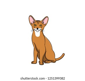 Cute Abyssinian Cartoon Cat. Vector illustration of purebred abyssinian cat.