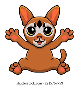 Cute abyssinian cat cartoon sitting