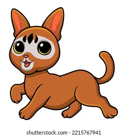 Cute abyssinian cat cartoon walking