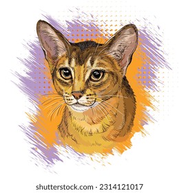 Cute Abyssinian cat head on the bright background. Close up cat portrait. Hand drawn modern vector illustration. Design for t-shirt, print, stickers, sublimation and decor