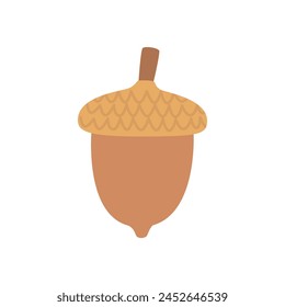 A cute acorn isolated on a white background.