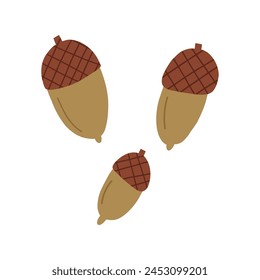 Cute acorns, cartoon flat vector illustration isolated on white background. Hand drawn autumn nature elements.