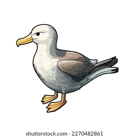 cute and adorable albatross cartoon