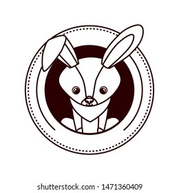 cute and adorable bunny with circular frame