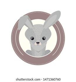 cute and adorable bunny with circular frame