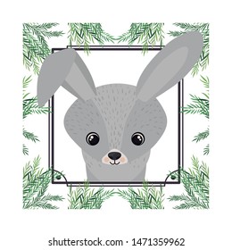 cute and adorable bunny with frame