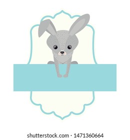 cute and adorable bunny with frame