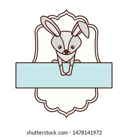 cute and adorable bunny with frame