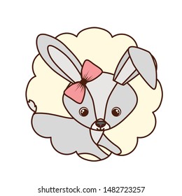 cute and adorable bunny with frame
