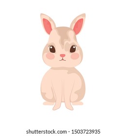 cute and adorable bunny with white background