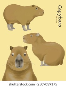 Conjunto de ilustración de personaje dibujado a mano de capibara adorable lindo