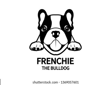 The cute adorable chubby French Bulldog puppy is hungry and waiting for his snack. The little Frenchie logo symbol mark can use for a variety of artworks.