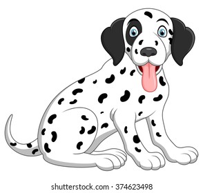 cute and adorable dalmatian dog sitting on floor