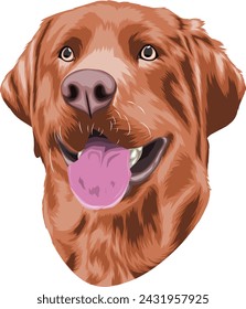 cute and adorable dog head portrait