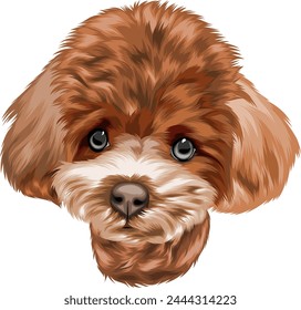 cute and adorable dog head portrait