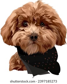 a cute and adorable dog wearing a dark blue coat