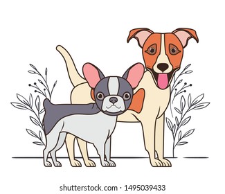 cute and adorable dogs with leaves background