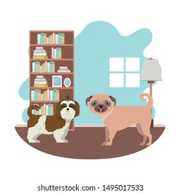 cute and adorable dogs in living room