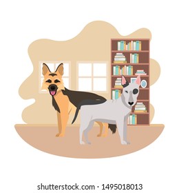 cute and adorable dogs in living room