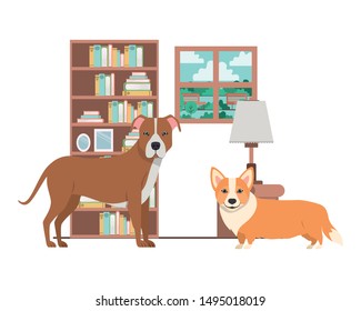cute and adorable dogs in living room