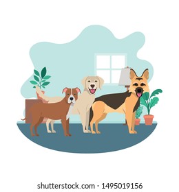 cute and adorable dogs in living room