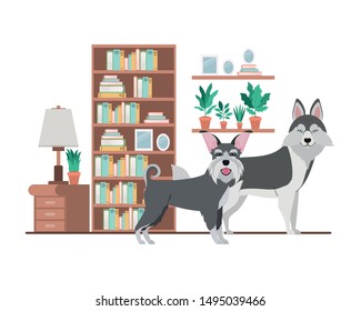 cute and adorable dogs in living room