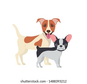 cute and adorable dogs on white background