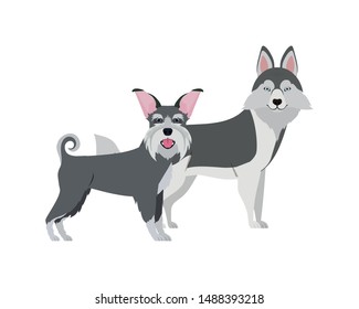 cute and adorable dogs on white background