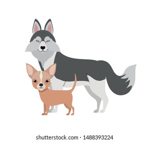 cute and adorable dogs on white background