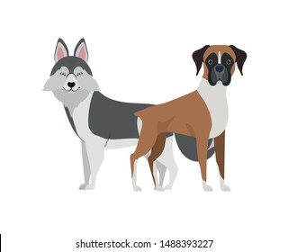 cute and adorable dogs on white background