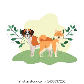 cute and adorable dogs on white background