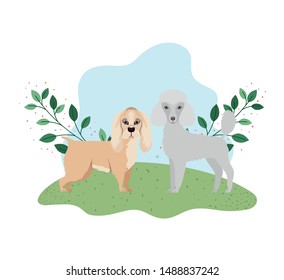 cute and adorable dogs on white background