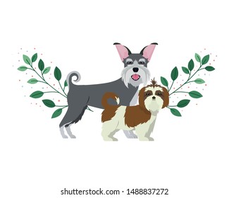 cute and adorable dogs on white background