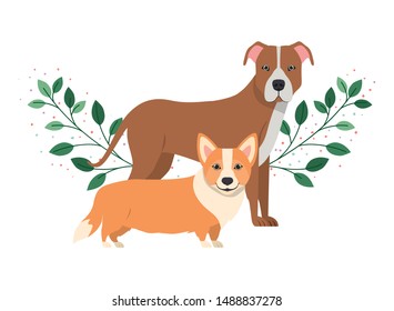 cute and adorable dogs on white background