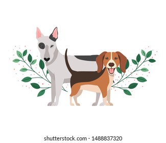 cute and adorable dogs on white background