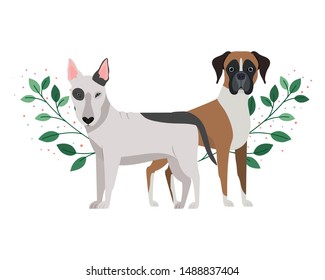 cute and adorable dogs on white background