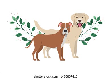 cute and adorable dogs on white background