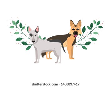 cute and adorable dogs on white background