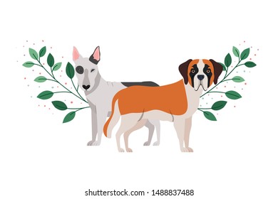 cute and adorable dogs on white background