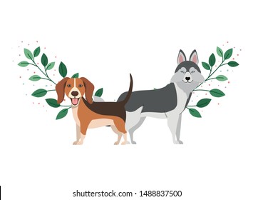 cute and adorable dogs on white background