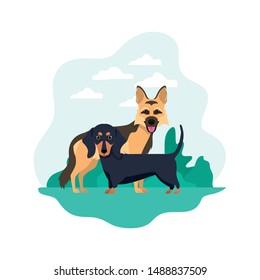 cute and adorable dogs on white background