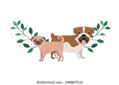 cute and adorable dogs on white background