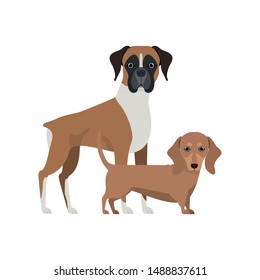 cute and adorable dogs on white background