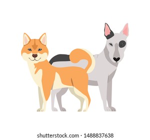 cute and adorable dogs on white background