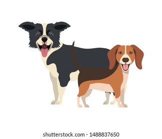cute and adorable dogs on white background